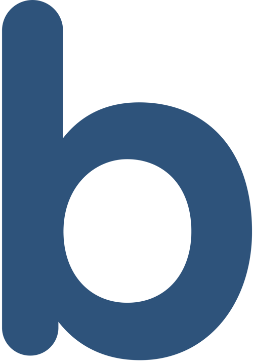 Brogli Informatik Icon